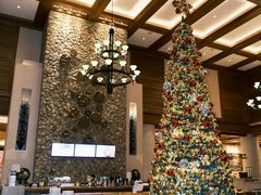 -长白山万达喜来登度假酒店