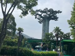 -苏州乐园森林水世界