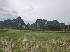 -明仕田园