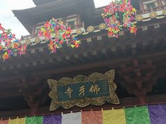 -新加坡佛牙寺龙华院