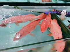 -渔民新村(番禺总店)