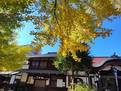 -医王山·飞騨国分寺