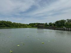 -溱湖国家湿地公园