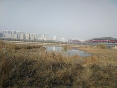 -咸阳湖景区