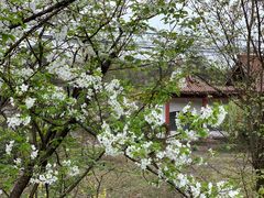 -樱桃山旅游景区