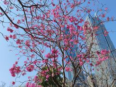 -天河体育中心