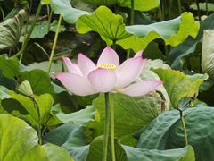 -中国湖笔博物馆(莲花庄路)