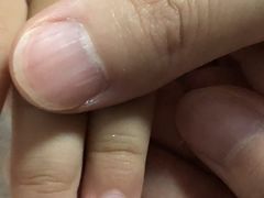 糖醋排骨-厉家菜(德胜门总店)