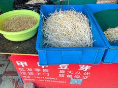 -葑门横街