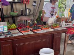 -马陆小张葡萄园农家乐