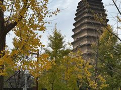 -西安博物院