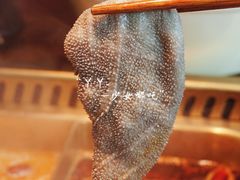 -九鼎轩脆毛肚火锅(三钢里店)