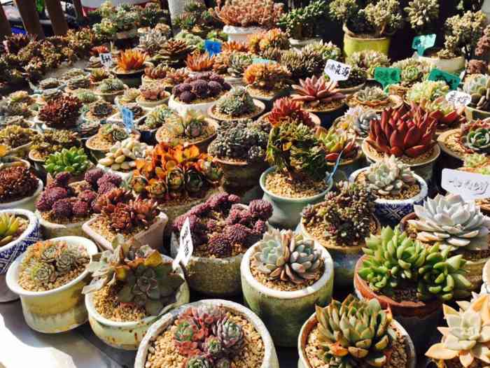 店里的种类还挺多的有普货也有精品在他家买了十