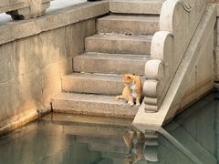 -西园寺素食(西园弄戒幢律寺店)