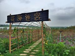 iphone_upload_pic-北纬44度·金珠花海休闲农业旅游景区
