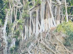 -八卦楼风琴博物馆