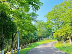 -俭寨大盘芦花土鸡·小公鸡·烧烤新疆菜(云通店)