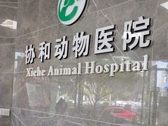 -瑞鹏瑞爱宠物医院·全科·猫科·血液透析中心(龙头寺店)