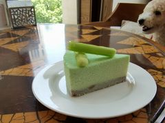 -上海崇明金茂凯悦酒店