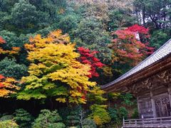 -城崎温泉 外七汤