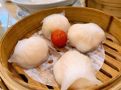 金牌虾饺皇-点都德(千灯湖环宇城店)