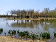 -东郊湿地公园