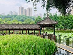-龙头寺公园
