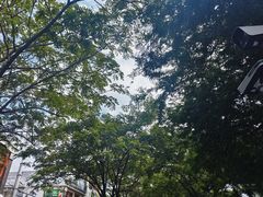 -后海村