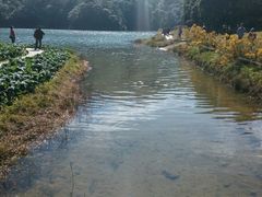-广州市石门国家森林公园