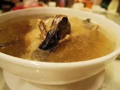 -鹭岛新泉客家菜·海鲜·融合菜(莲前店)