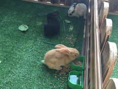 -启东恒大海上威尼斯酒店