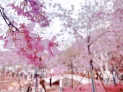 -东湖生态旅游风景区