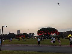 -万绿园