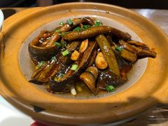 淮扬炒软兜-扬州狮子楼·非遗淮扬菜(东关街店)