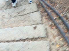 -灵顺寺