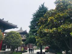 -西安青龙寺遗址景区