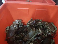 -老财炒饭·熟地蟹·冬瓜蟹