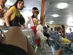 -海安新港(公交站)