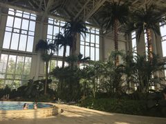 -中家鑫园温泉酒店鑫悦汤泉