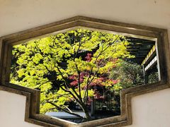-杭州植物园