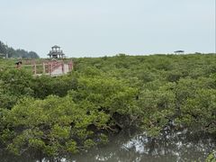 -北海金海湾红树林生态旅游区