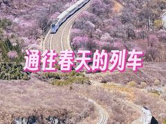 -居庸关长城