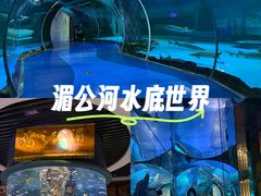 -西双版纳原始森林公园