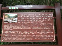 -燕子河大峡谷天坑仙境