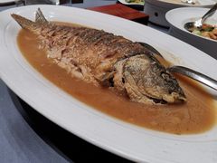 -阿庄新豫菜(航海东路店)