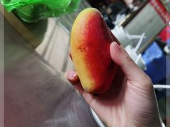 -三亚新鸿港水果一级批发市场