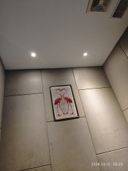 -心联形象设计·流星染