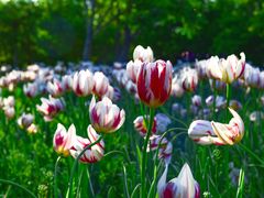 -长春公园(普阳街道)