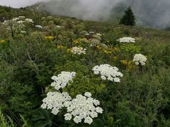 -驼梁风景区