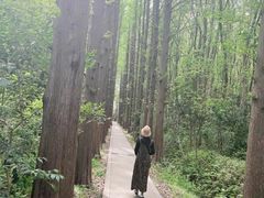 -同里国家湿地公园